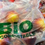 CÃ³mo crear bolsas biodegradables